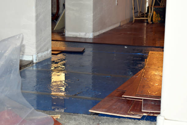 Professional Burst Pipe Cleanup technician working in Clearwater, MN